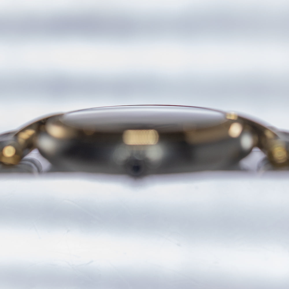 CARTIER SM Panthere Ref.166920 1 LOW