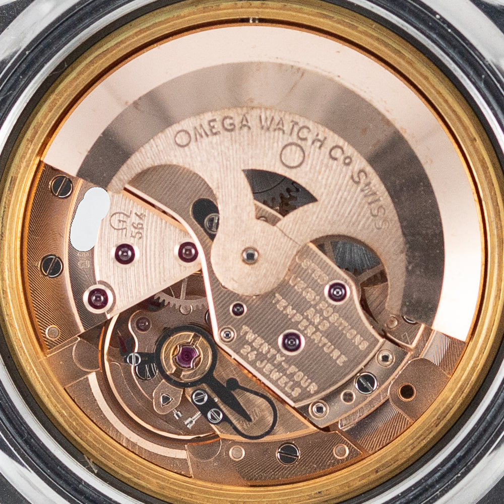 OMEGA Seamaster Ref.168.050 Antimagnetic structure