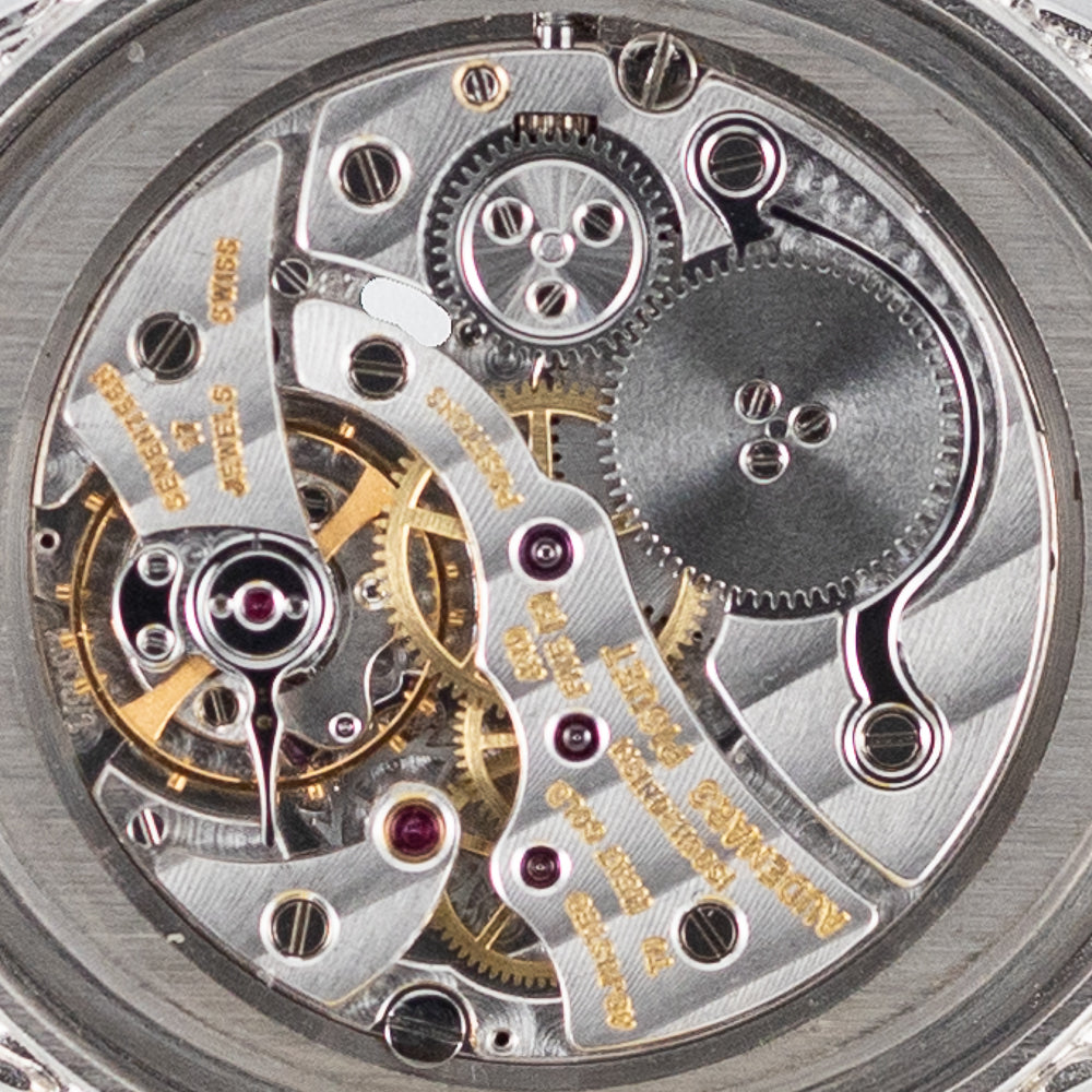 AUDEMARS PIGUET Bamboo COBRA