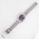 OMEGA Seamaster Grey Gilt Dial Ref.166.010