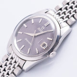 OMEGA Seamaster Grey Gilt Dial Ref.166.010