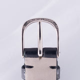 AUDEMARS PIGUET TV Case Automatic Date Cal.2121/1