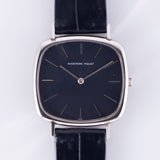 AUDEMARS PIGUET TV Screen