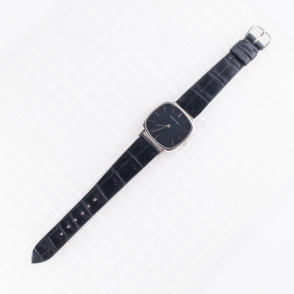 AUDEMARS PIGUET TV Screen