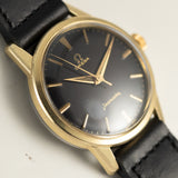 OMEGA Seamaster Ref.14390 Tropical Dial