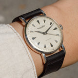 IWC Diamond Index Pt 900