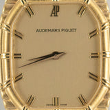 AUDEMARS PIGUET Bamboo Quartz