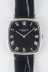 AUDEMARS PIGUET TV SCREEN