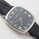 AUDEMARS PIGUET TV SCREEN