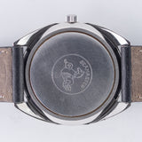 OMEGA SEAMASTER COSMIC 2000 REF.166.130 Patina