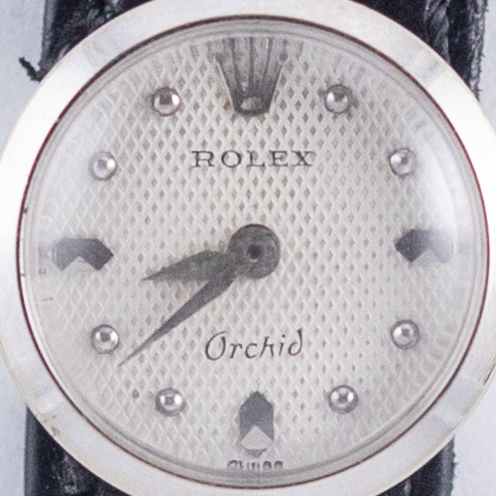 ROLEX CHAMELEON Orchid Ref.8413