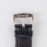 AUDEMARS PIGUET TV Screen NEW OLD STOCK