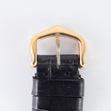 CARTIER LM MUST DE TANK Tortoiseshell - Like