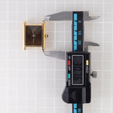 CARTIER LM MUST DE TANK Tortoiseshell - Like BOX