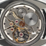 IWC Ref.1419 C line case