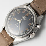 LEMANIA Tg195 Swedish Military