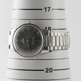 OMEGA Seamaster Ref.165.002 Gray Gilt Dial