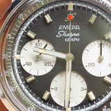 ENICAR Sherpa GRAPH Ref.2343 12-66