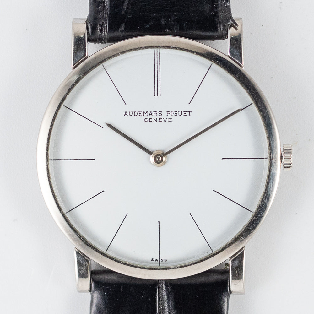 23370_10_1000x.jpg?v=1717899427