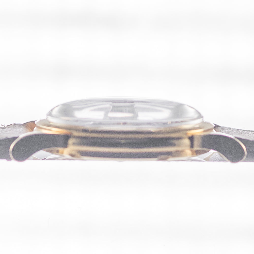 OMEGA Constellation Ref.14393 Pie Pan Dial