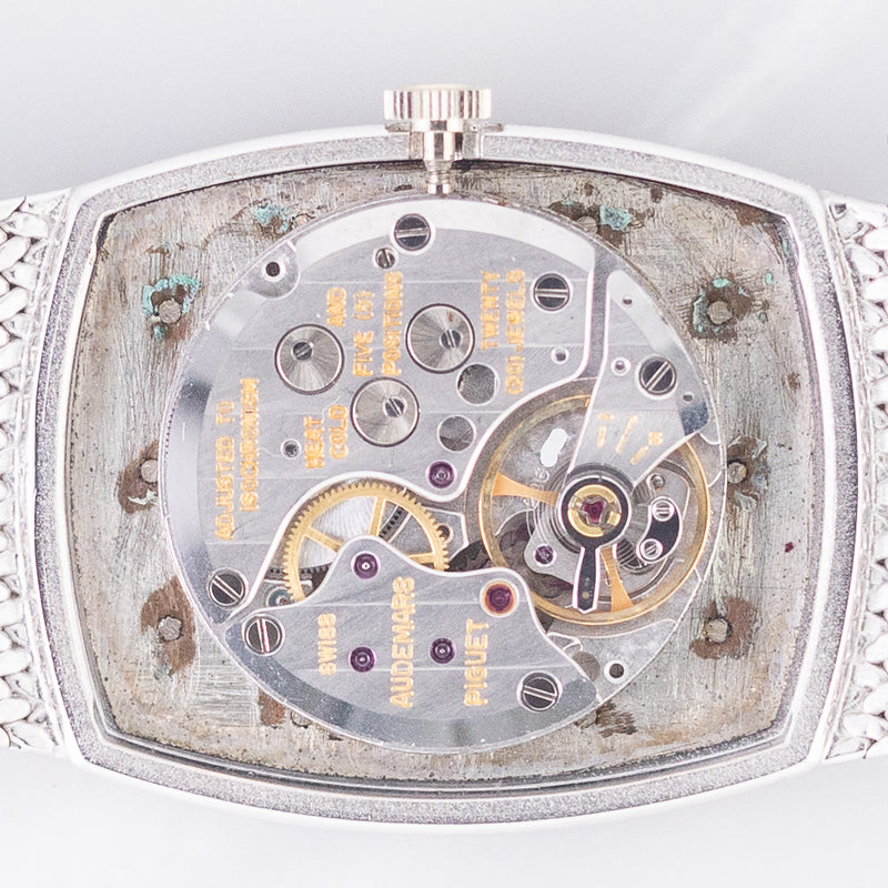 AUDEMARS PIGUET BAMBOO COBRA