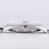 OMEGA Seamaster Grey Gilt Dial Ref.166.010