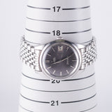 OMEGA Seamaster Grey Gilt Dial Ref.166.010