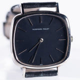 AUDEMARS PIGUET TV Screen