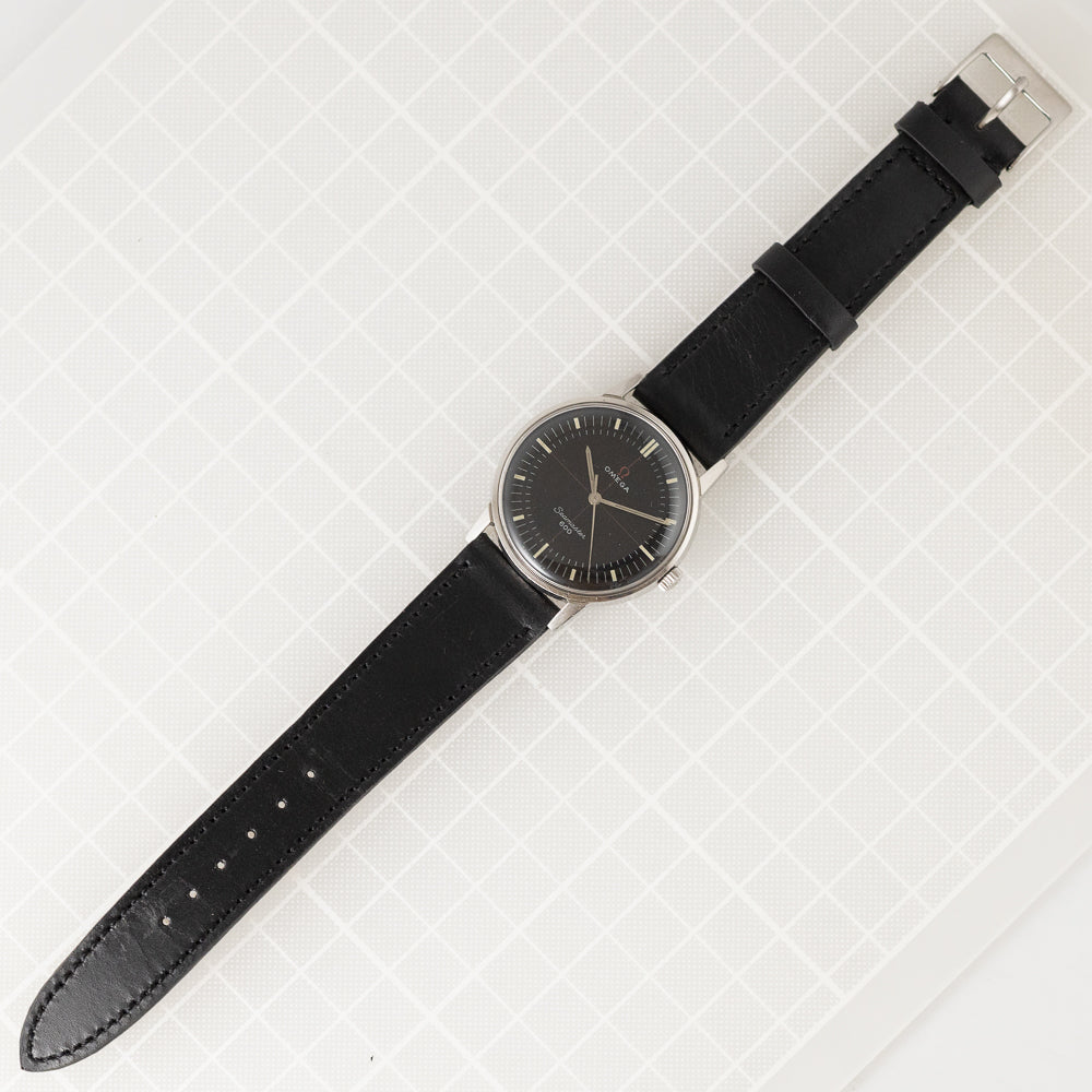 OMEGA Seamaster600 Ref.135.011 EPSA Case