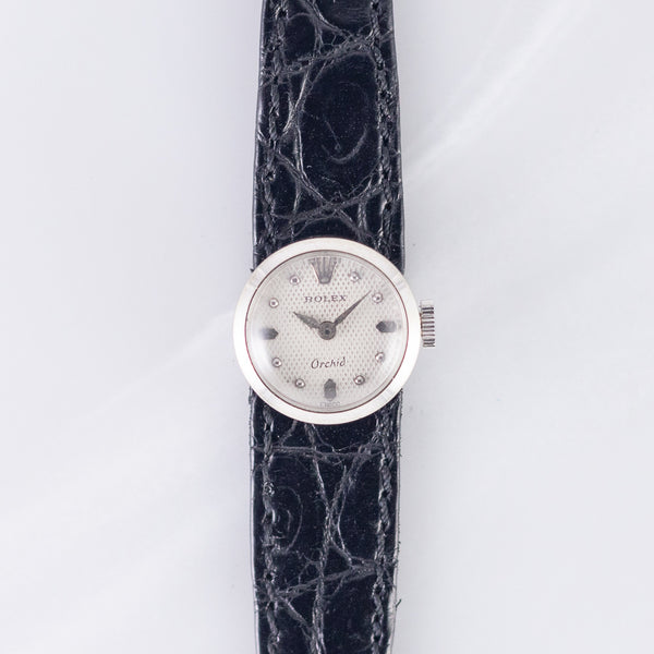 ROLEX CHAMELEON Orchid Ref.8413 – TIMEANAGRAM