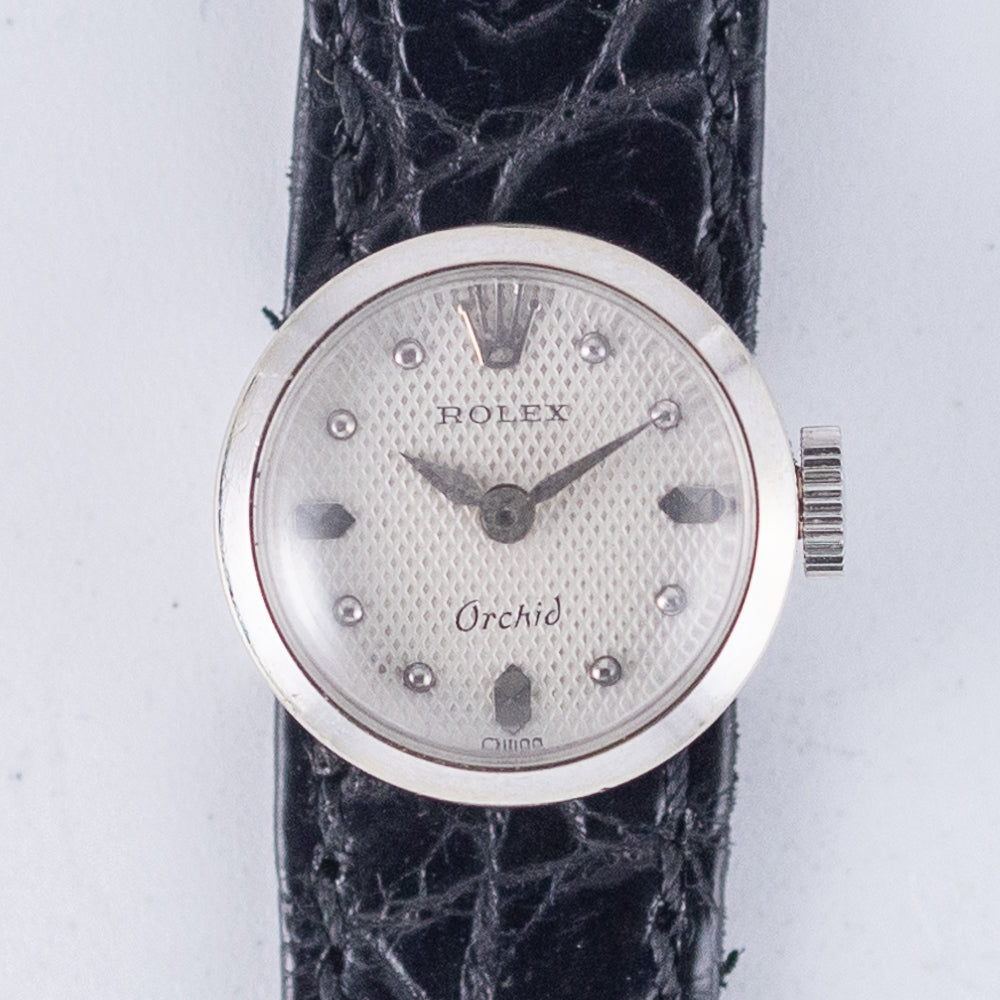 ROLEX CHAMELEON Orchid Ref.8413 – TIMEANAGRAM