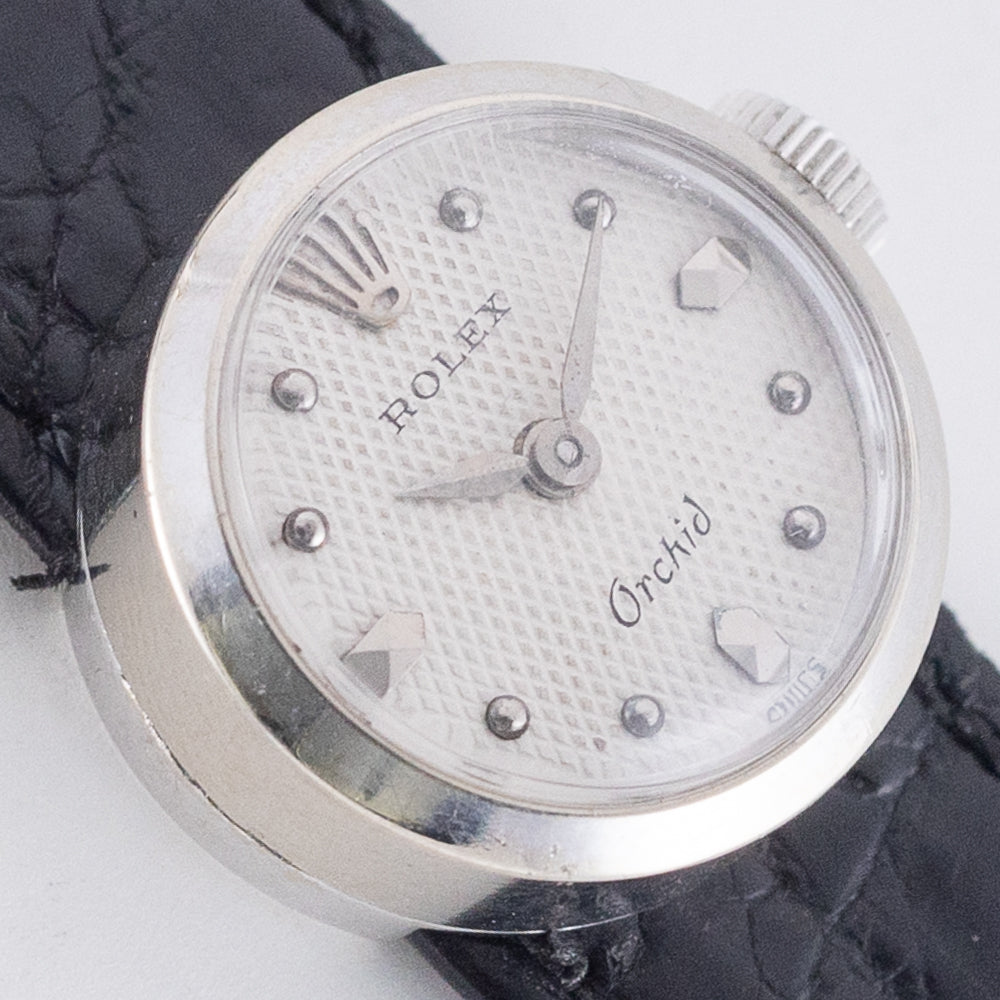 ROLEX CHAMELEON Orchid Ref.8413
