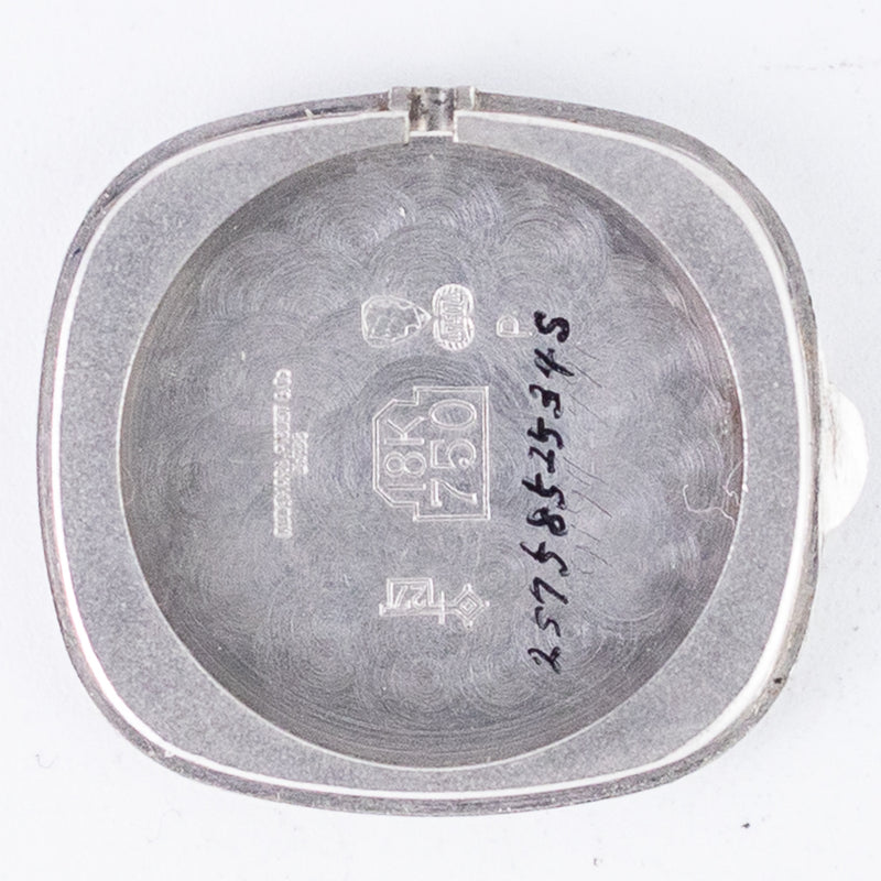 AUDEMARS PIGUET Bamboo COBRA W.PAPER