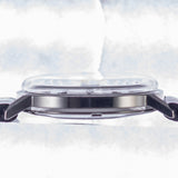 OMEGA SEAMASTER TURLER W Name