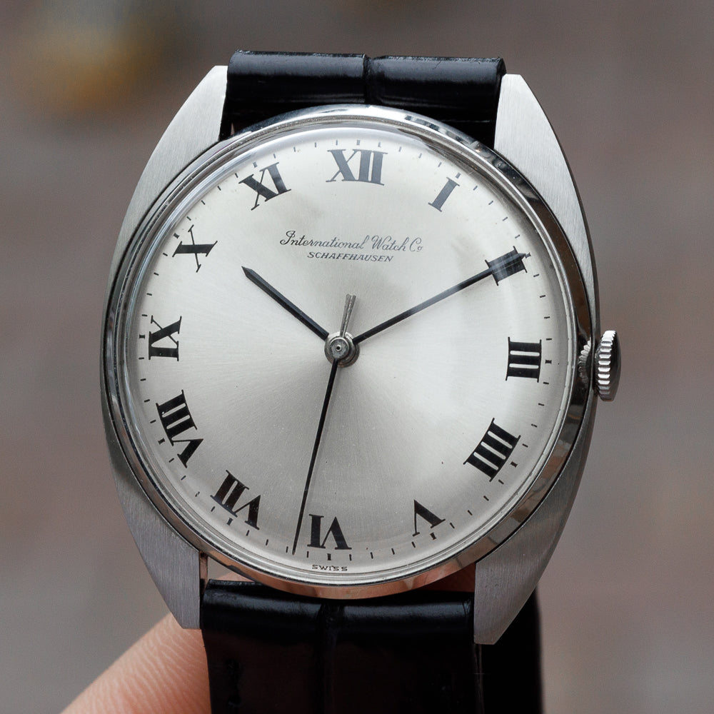 IWC Ref.1419 C line case