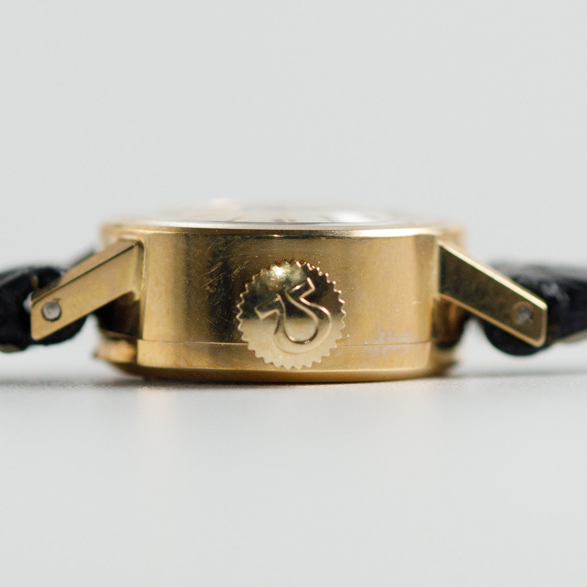 OMEGA with BOX