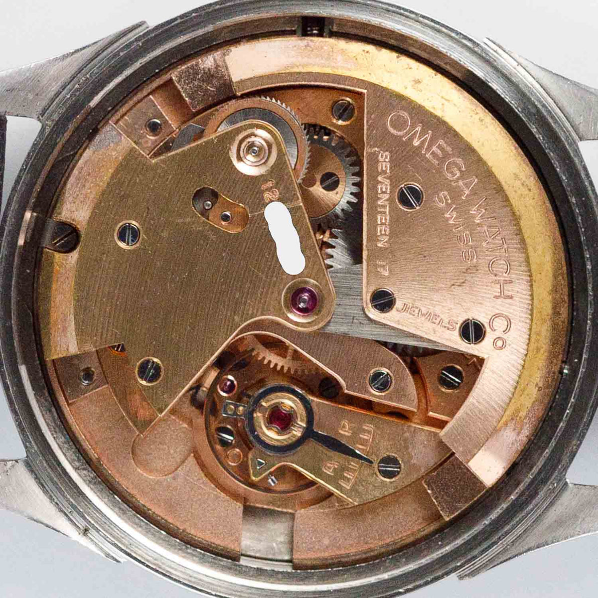 OMEGA bumper